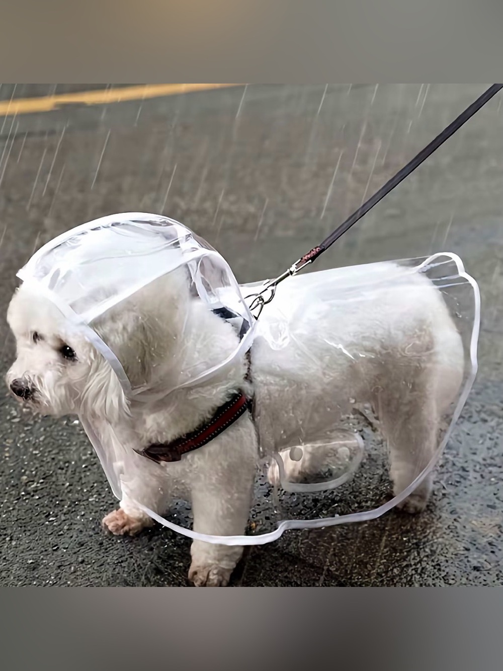 Clear Dog Raincoat Hooded Waterproof Pet Jacket – Tag XL Fits Small / XS Dog